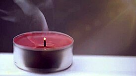 my seductive forbidden fruit daniela moans during intense blowjob