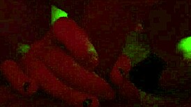 this bbw with huge tits sucks on a monster cock, her fat body loving the sucking and blowjob action