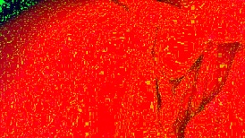 Close-Up View of Transsexual Interaction in Face Down Position