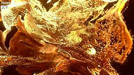 Flexy Teen Lenis Diamod Takes Hardcore Anal 3 on 1 BBC!