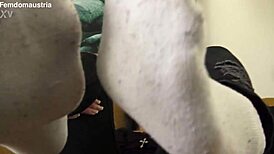 discovering if you're into stinky socks in german femdom