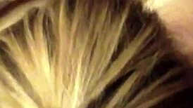 stallion milker season 4 with dutch italian brazilian mexican themes