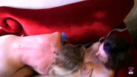 the brunette and blonde lesbians kiss while huge dildos fill their hairy pussies