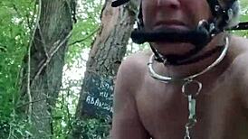 In the forest, the ponygirl slave experiences orgasm during doggystyle bdsm with bound tits and buttplug.