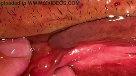 अमेच्योर पिंक पस्सी वर्जिनिटी के 172 दिन बाद फक हुई!