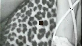 MY SECRET LIFE VINTAGE BONDAGE WITH HAIRY PUSSY AND BOUND BEAVER!