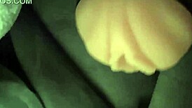 lap dancer fucks world's best sex machine with toys masturbation?