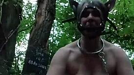 In the forest, the ponygirl slave experiences orgasm during doggystyle bdsm with bound tits and buttplug.