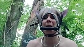 In the forest, the ponygirl slave experiences orgasm during doggystyle bdsm with bound tits and buttplug.