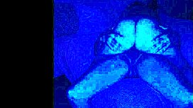 She Asks To Lay Down For Papi's POV Pussy Play