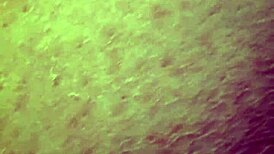 Masturbating With Dildo And Big Tits