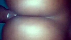 Put Ass on Twisted Dick Game