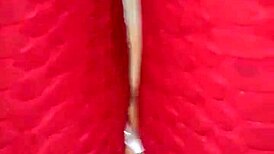 Colombian amateur rubs pussy through wet leggings