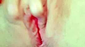 Te Animarias A Chupar Mi Concha Rosadita