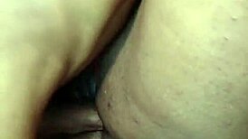 nigarchrist update 1447 petal 20250617 161201 jun 17 2025