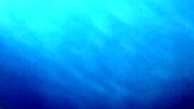 Enjoyable playtime in the parking lot with Brazilian amateurs