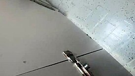 Goth Girlfriend Experience - Public Sex in the Park ~ Asteria Jade ~ Household Fantasy ~ Scott Stark