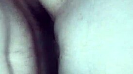 homemade video of cheating milf getting fucked hard