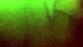 Ebony Girl Fingers Pretty Pussy