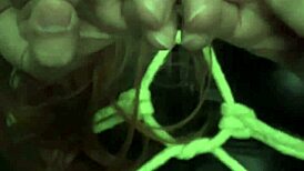 Latina Slut Bound In Bondage For Femdom Assfucking Humiliation!