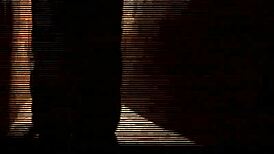 Dutch Hooker Bent Over For Doggy Cumshot?