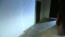 Shemale scientist hints at anal pleasure with bound dude