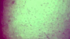 Un Rápido Anal Antes Q Lleguen Mis Padres Ojalá No Se Enteren