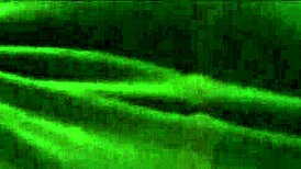 Beg for my pussy ellie rowyn