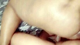 Homemade Amateur Update Video from April 12, 2025