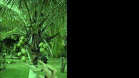 I deliver petite outdoor oral pleasure