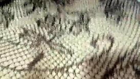 Wife's Friend Finally Allows Intimate Encounter