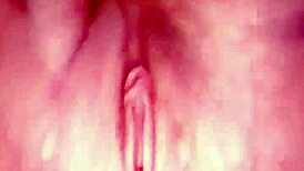 amateur girl shares whatsapp underwear camshot masturbation leading to cumshot