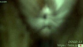 hey, aya's plump ass gets sniffed and fucked anally 😈