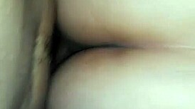 I can't resist this delicious mexican ass from guanajuato, it's so tempting and beautiful.