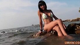 exotic ladyboy noon fucked bareback?