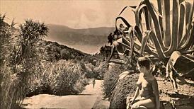 vintage mother nature beaver hairy pussy exposed!