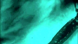 Dark Lantern Entertainment Presents Two Centuries Of Vintage Porn