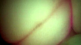 Bbw Pink Fishnets Creampie