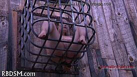 bdsm electro castigation session