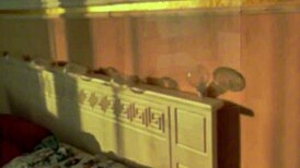 in this homemade scene, a beautiful sexy girl fingers her pussy to orgasm