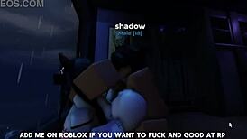 verification video to verify the model's identity and features