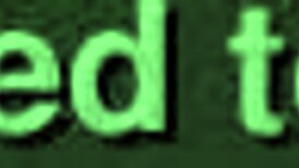 Le Enseño A Mamar La Verga