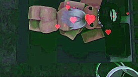 Best friends enjoy a game together with detailed activities