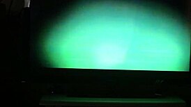 Candid Amateur Girlfriend Gets Anal Doggystyle