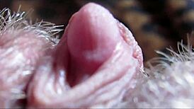 Big Clit Orgasm Captured In Close-Up