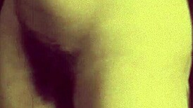 dark lantern entertainment shares my secret life, erotic confessions of a victorian gentleman