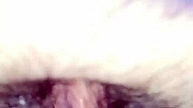 ¿quieres ver como mi suegra culea rico moviendo su ass provocativamente?