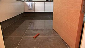 Jasmine Webb sucks and fucks in kinky maid lingerie! Interracial scene!