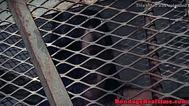 Bound Redhead Sub with Nipple Clamps and Toys