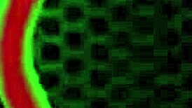 Curvy barbi with pink hair rides rome major intensely, leading to cum on hair